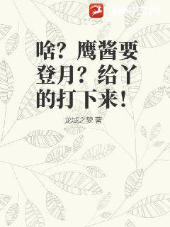 啥？鹰酱要登月？给丫的打下来！