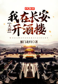 大唐,我一开酒馆的,不参与政事