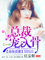 染指成妻:总裁,宠入骨