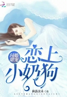 闪婚甜宠:恋上小奶狗