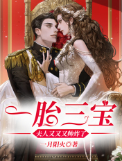 一胎三宝:夫人又又又帅炸了