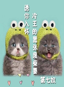 诱你入怀:冷王的嚣张废柴妻