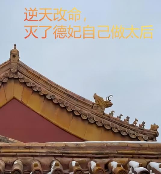 逆天改命,灭了德妃自己做太后