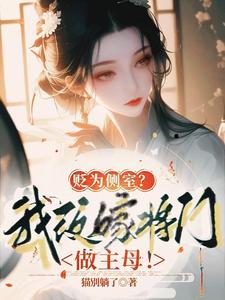 二嫁主母!