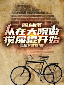 四合院:我入住后,大院乱套了