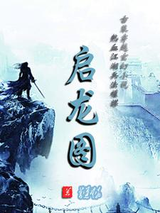 启龙图：我在敌国当皇夫摄政王