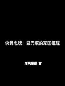侠骨忠魂：君无痕的家国征程