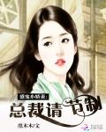 盛宠小娇妻:总裁请节制