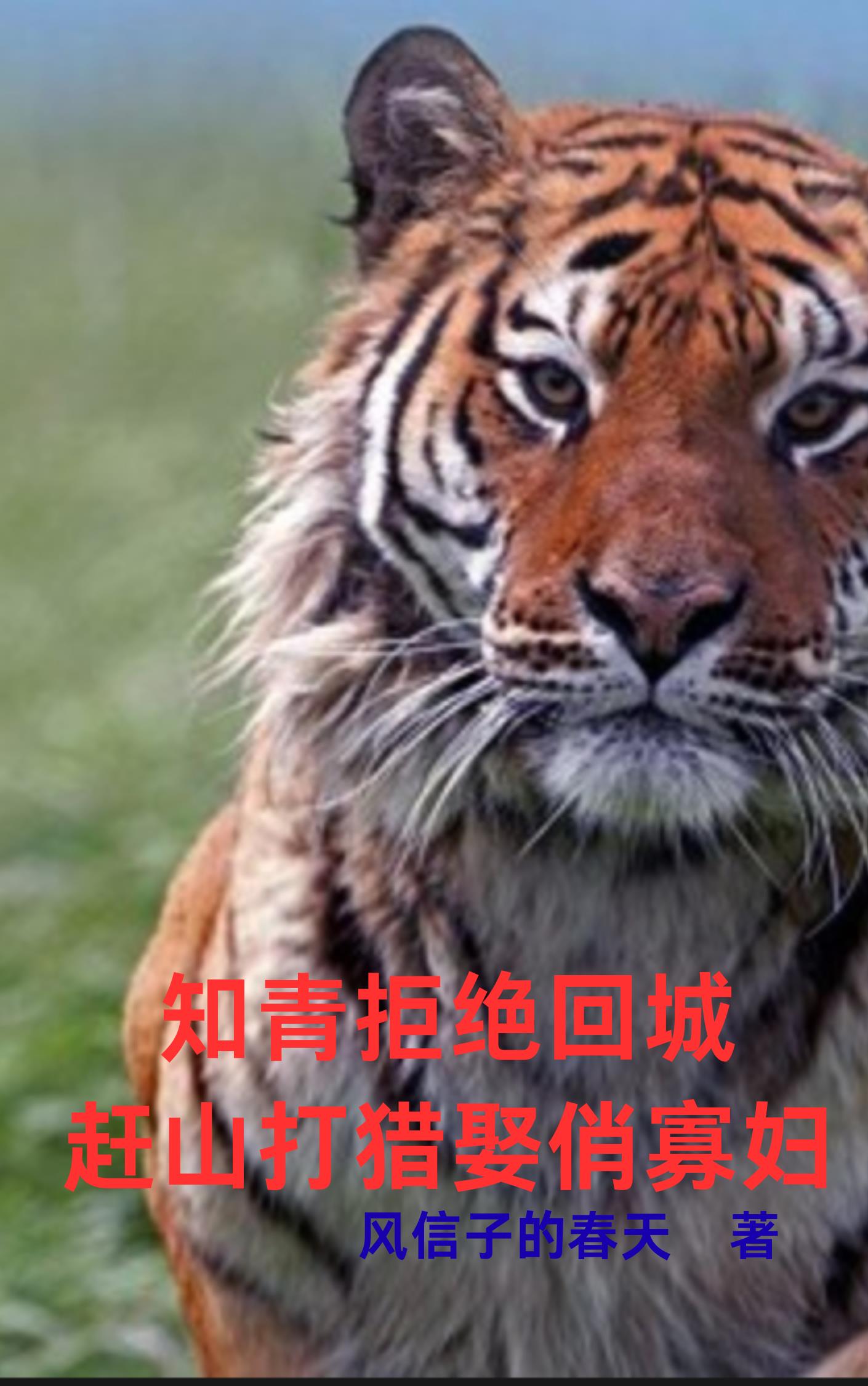 知青拒绝回城：赶山打猎娶俏寡妇