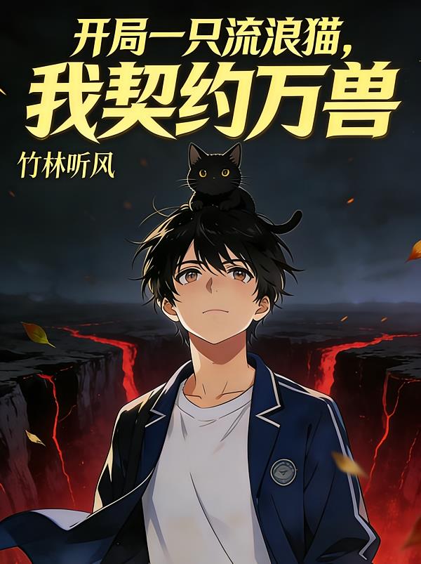 开局一只流浪猫，我契约了万兽