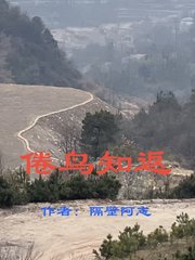 倦鸟知返