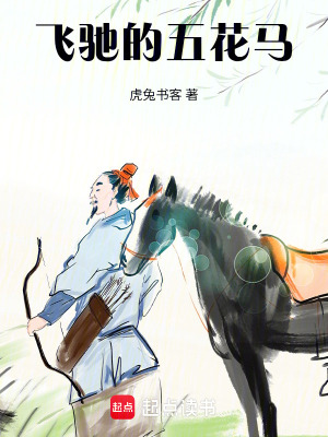 飞驰的五花马
