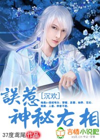 沉欢:误惹神秘右相
