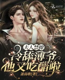 夫人禁撩:冷舔薄爷他又吃醋啦!
