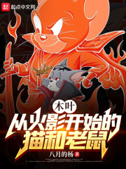 木叶:从猫和老鼠开始